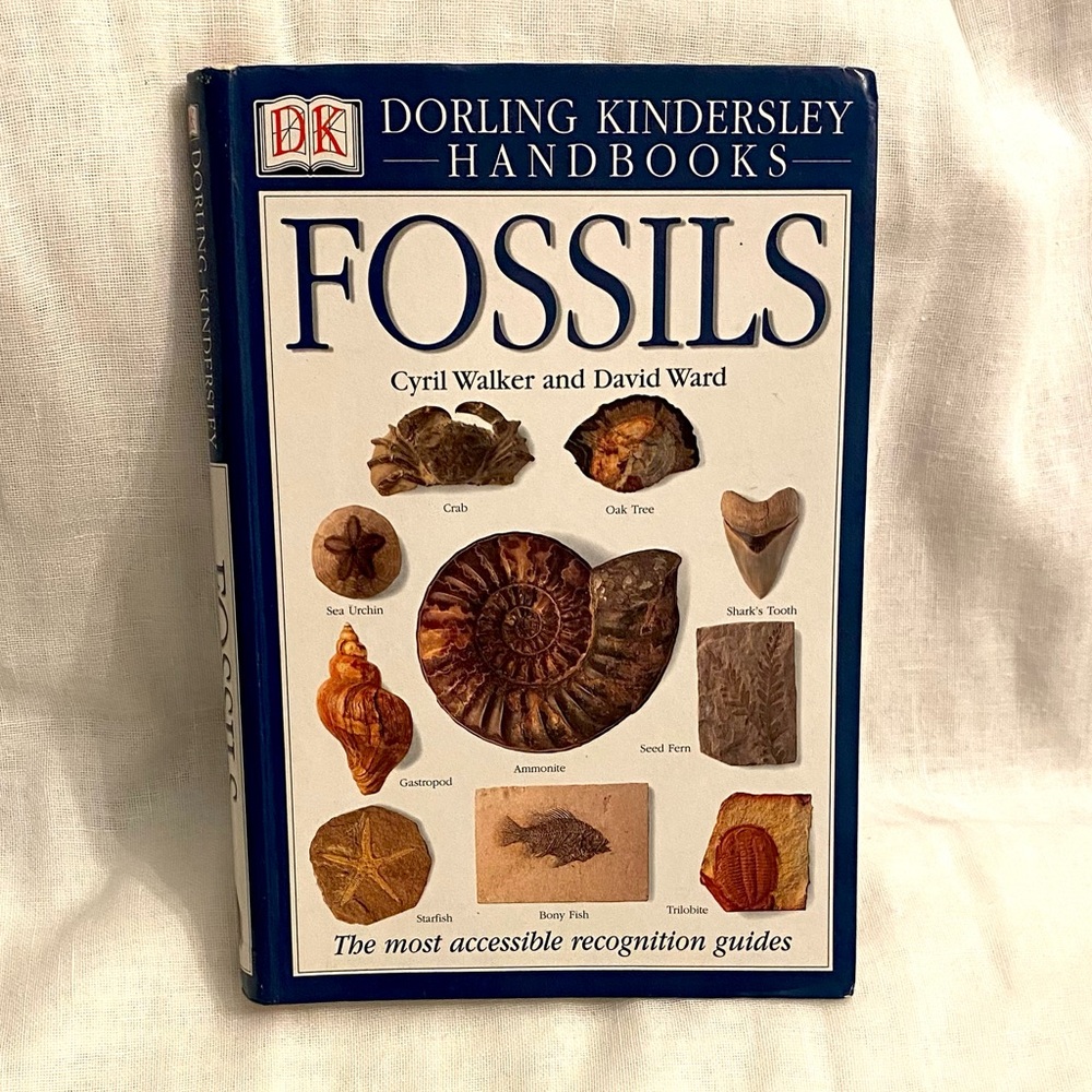DK Fossils Handbook for Kids, Adults, Collectors - Premier Guide by Experts